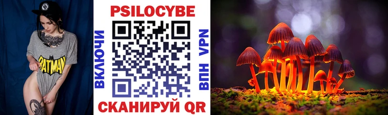 Псилоцибиновые грибы Psilocybine cubensis  Отрадное 