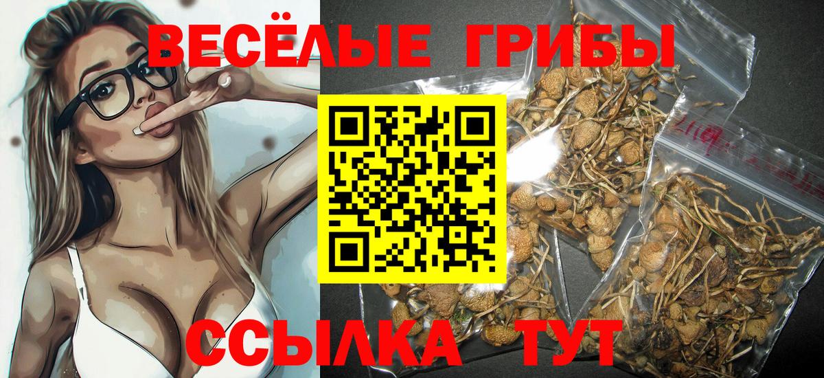 Псилоцибиновые грибы MAGIC MUSHROOMS Отрадное