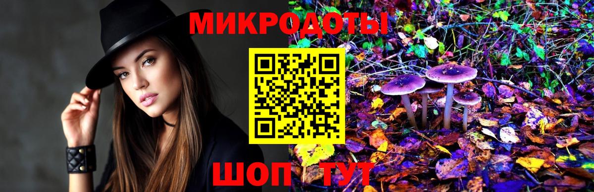Галлюциногенные грибы Psilocybine cubensis  Вход с VPN  Отрадное 